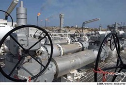 Nga đang dẫn dắt một "OPEC về khí đốt" 